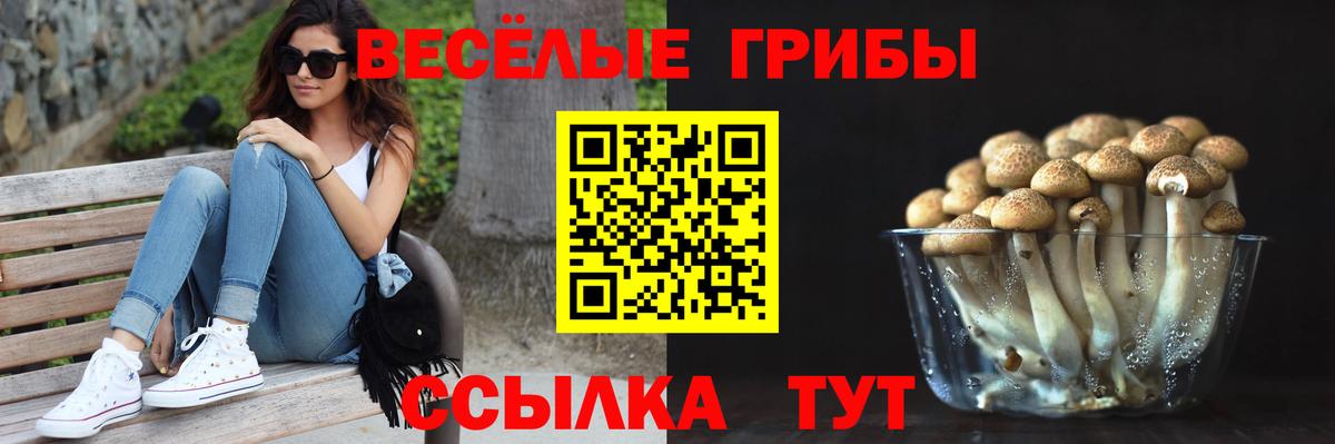 купить наркотик  Галлюциногенные грибы GOLDEN TEACHER  Вход с VPN  Сочи 